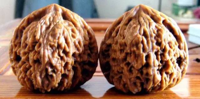 老树品南疆石狮子头