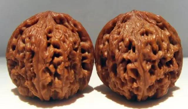 嫁接品南疆石狮子头