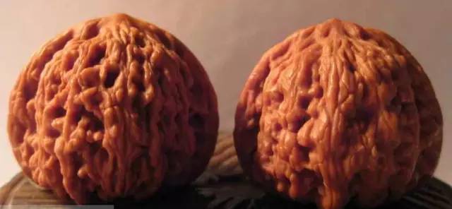 矮桩密纹狮子头