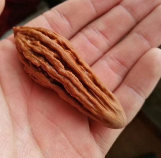 %title插图%num %title插图%num