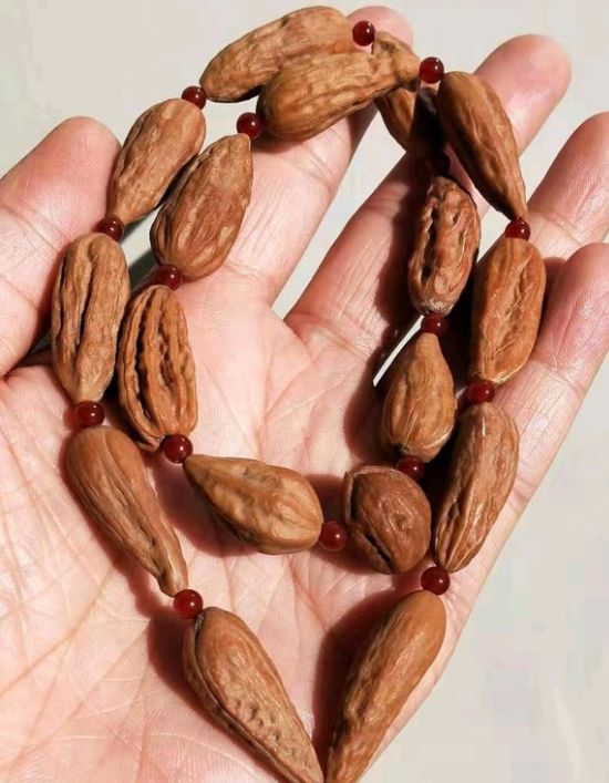 %title插图%num %title插图%num