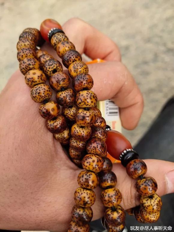 %title插图%num %title插图%num