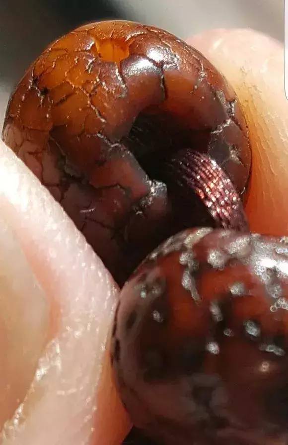 %title插图%num %title插图%num