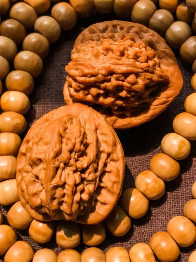 %title插图%num %title插图%num