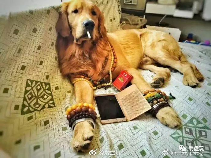 %title插图%num %title插图%num