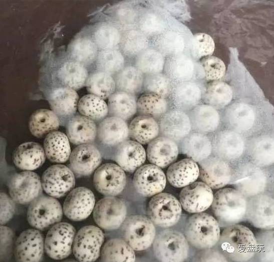 %title插图%num %title插图%num