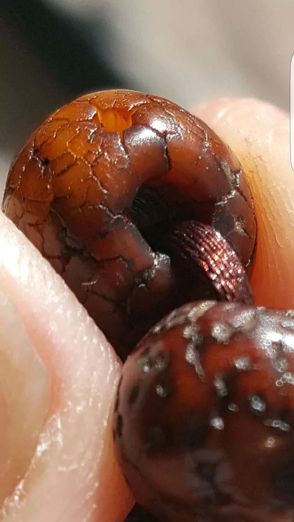 %title插图%num %title插图%num