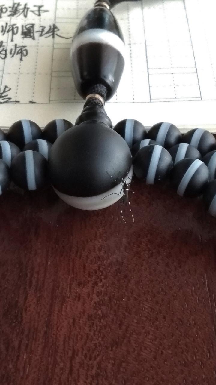 %title插图%num %title插图%num