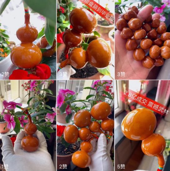 %title插图%num %title插图%num