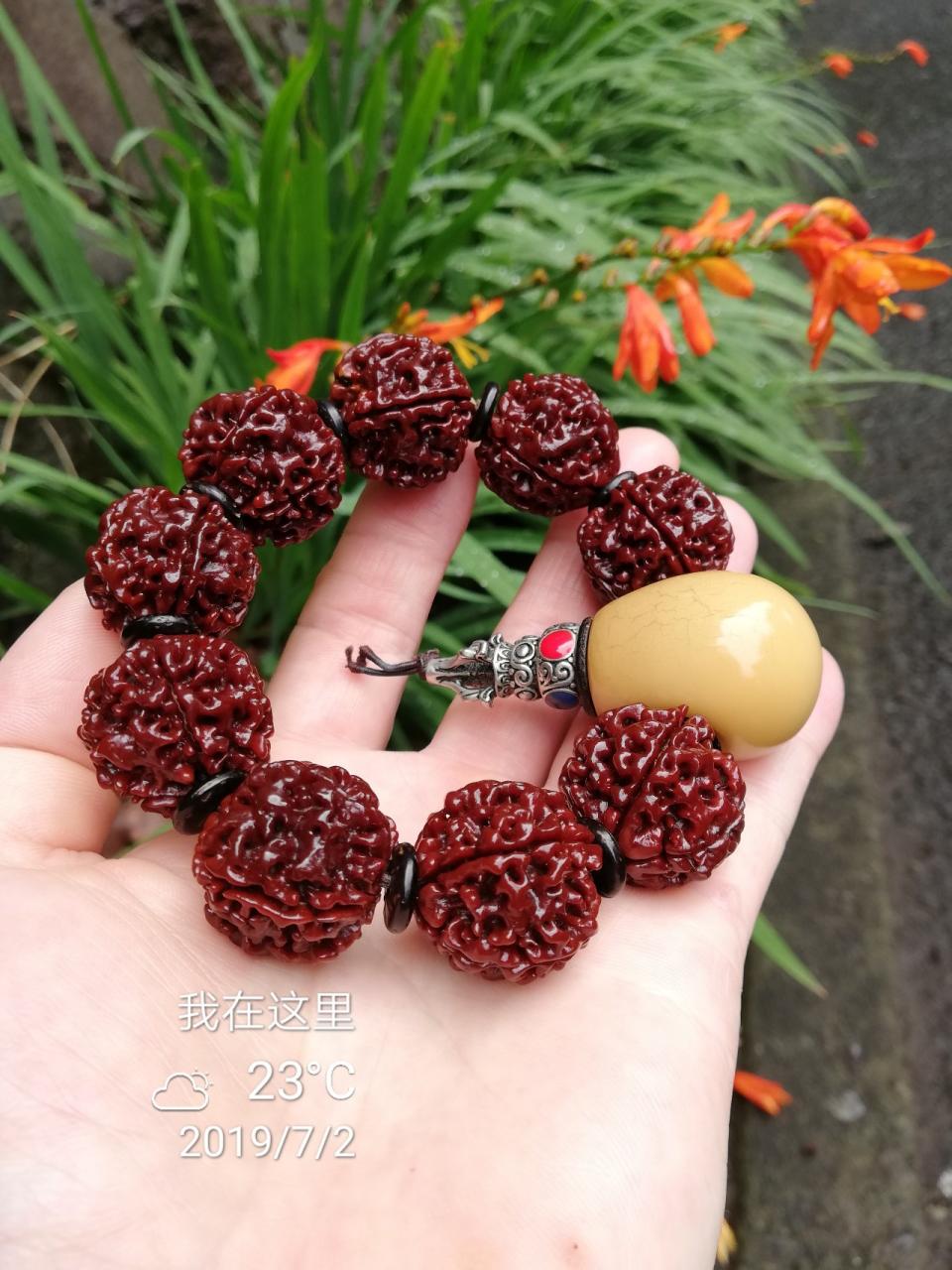 %title插图%num %title插图%num