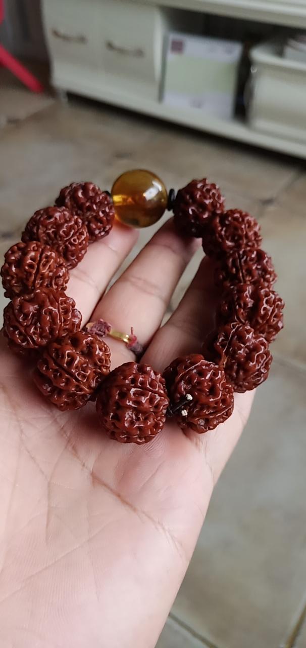 %title插图%num %title插图%num