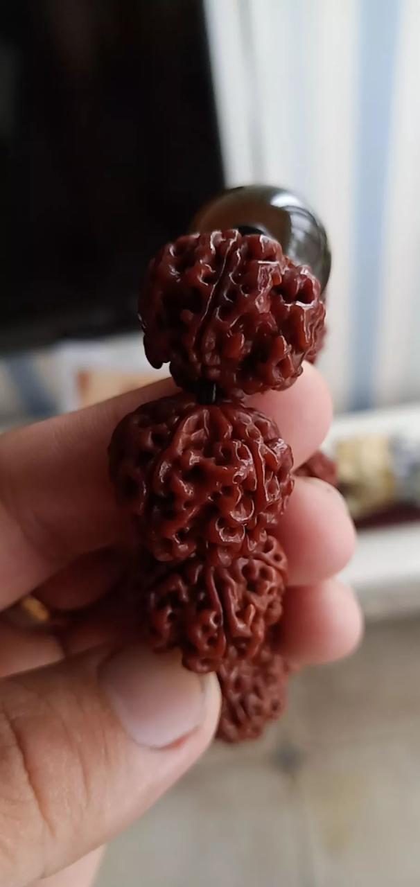 %title插图%num %title插图%num