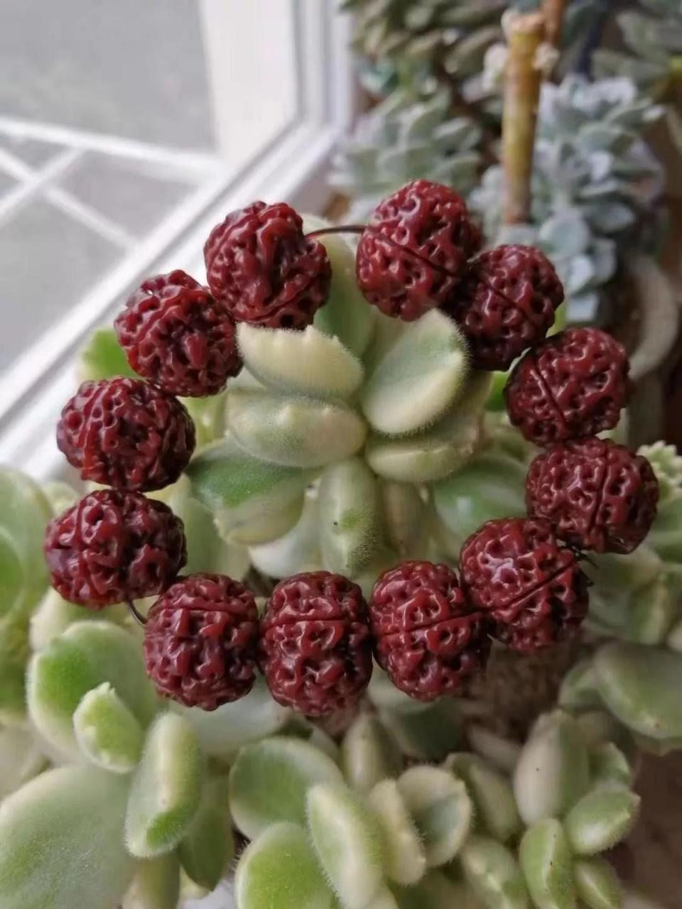 %title插图%num %title插图%num