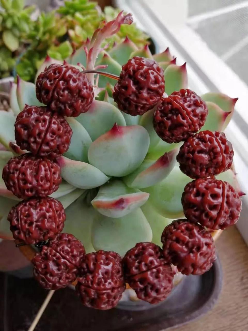 %title插图%num %title插图%num