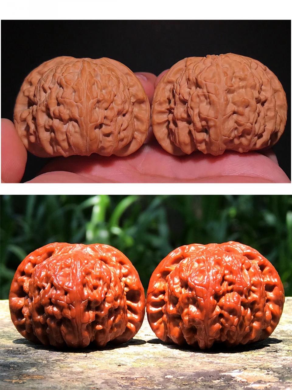 %title插图%num %title插图%num