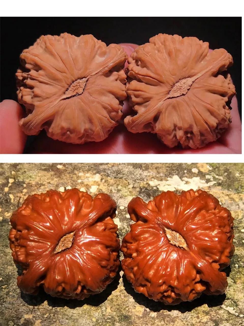 %title插图%num %title插图%num