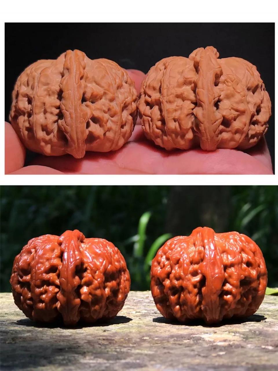 %title插图%num %title插图%num