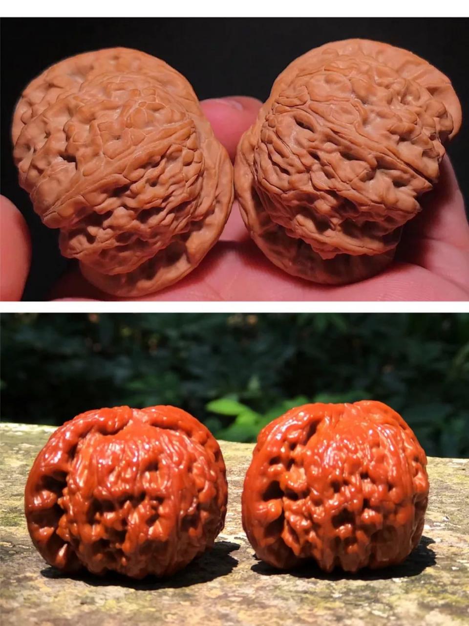 %title插图%num %title插图%num