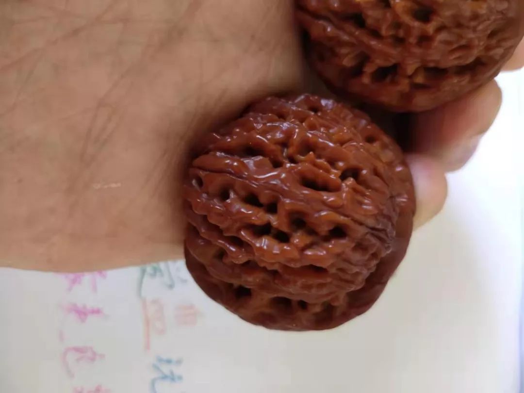 %title插图%num %title插图%num