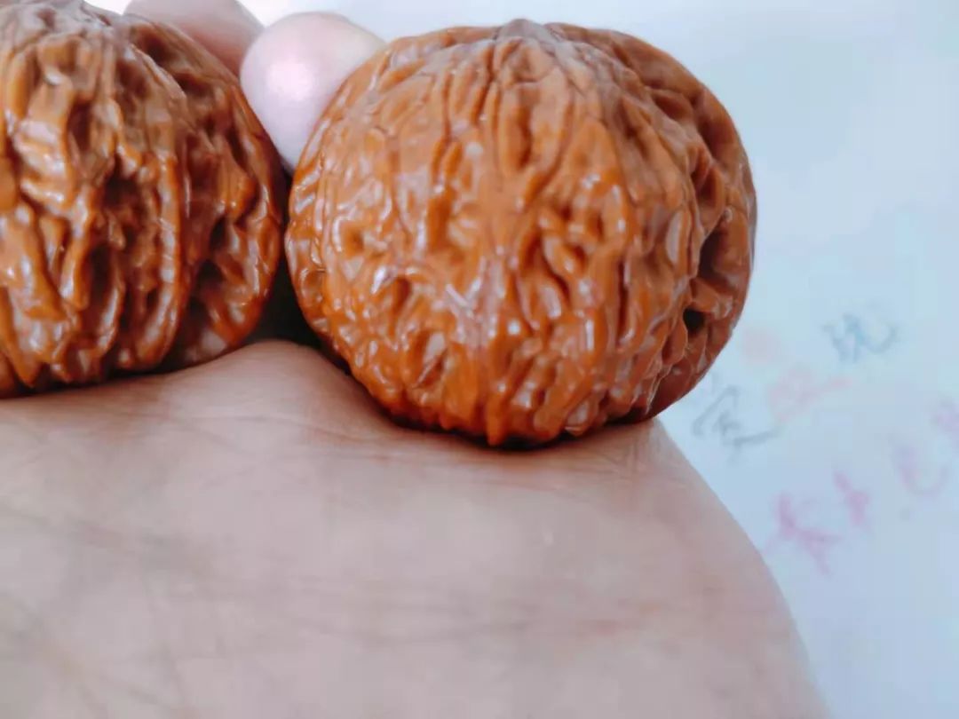 %title插图%num %title插图%num