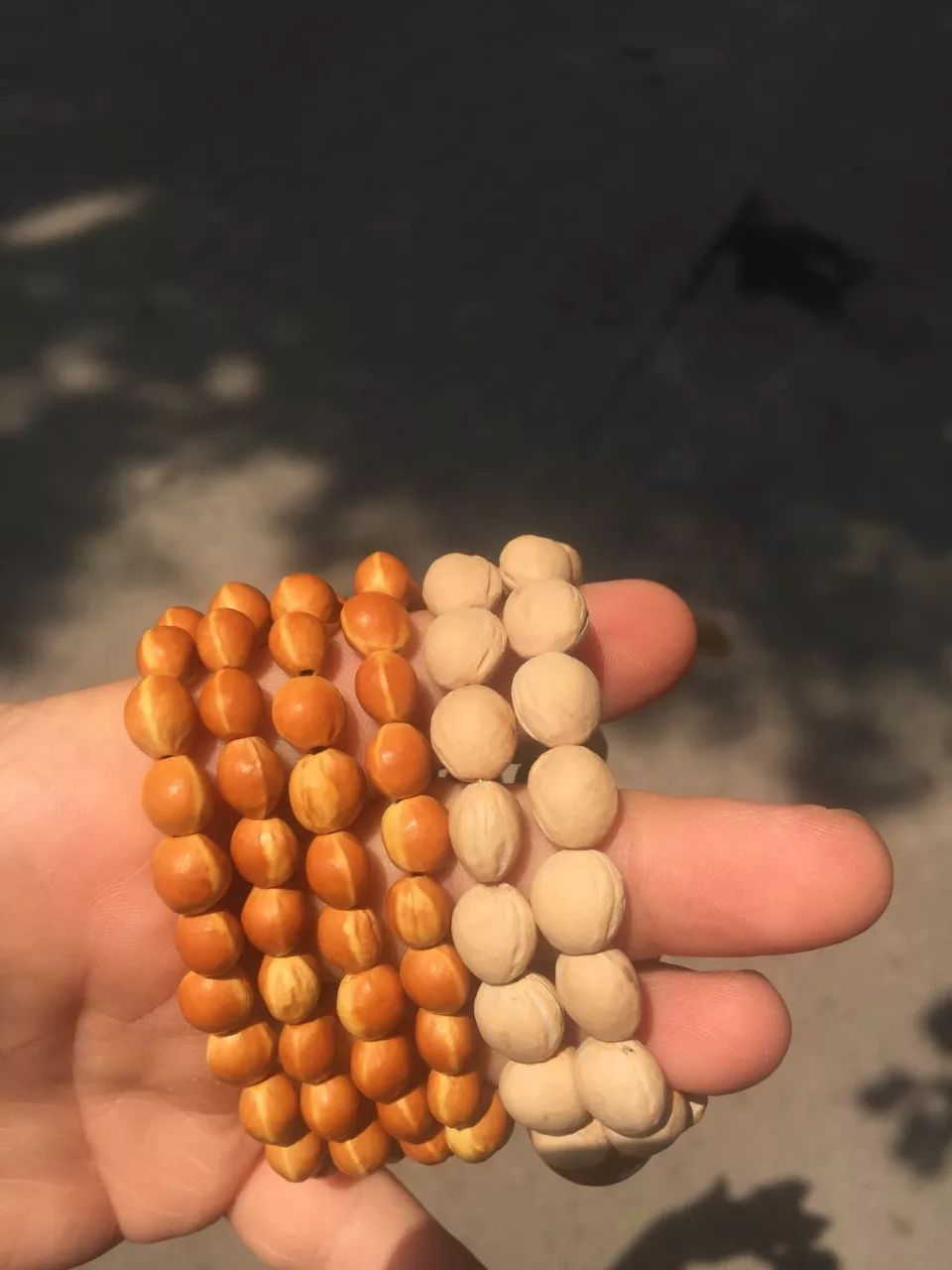 %title插图%num %title插图%num