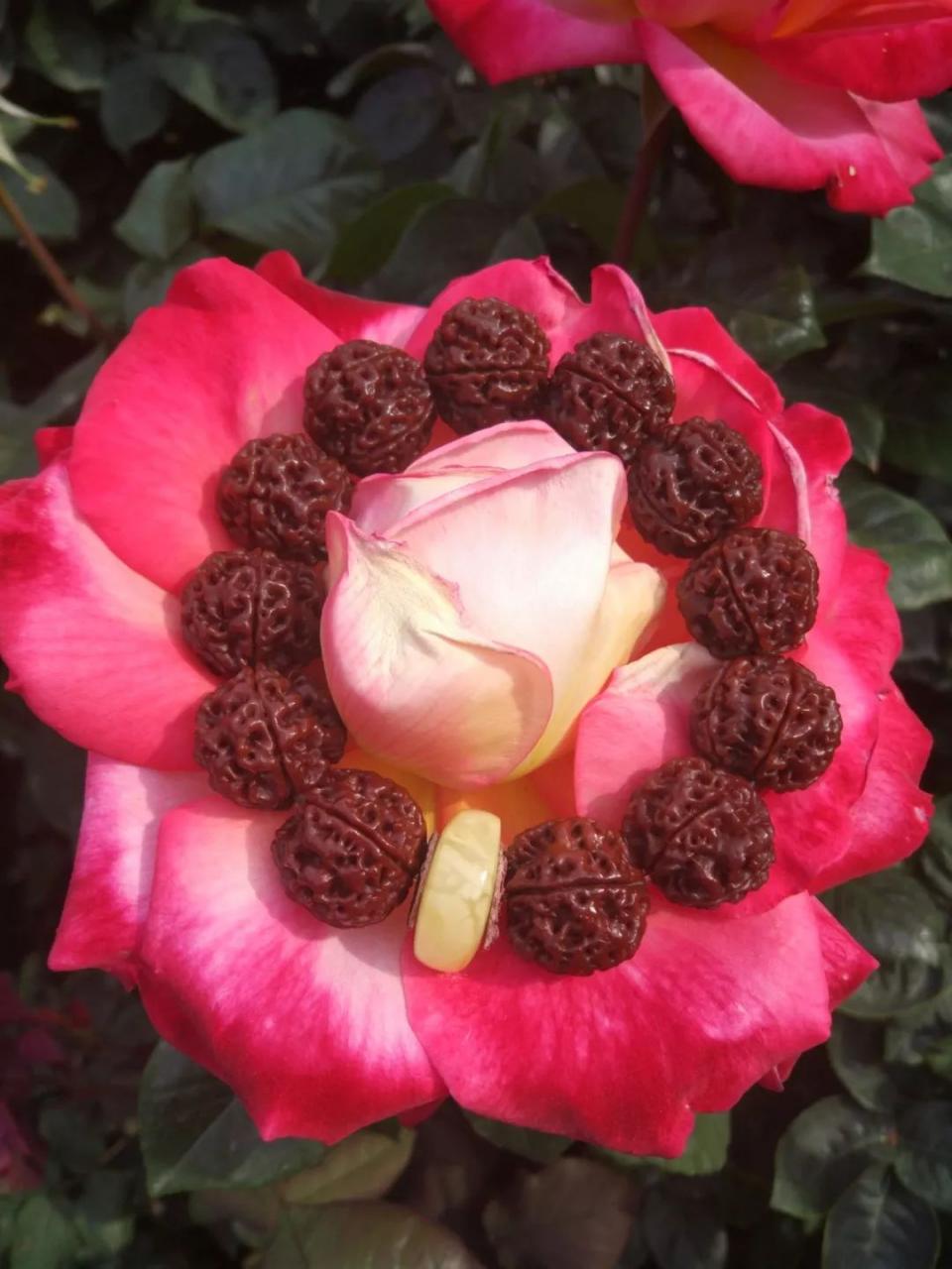 %title插图%num %title插图%num