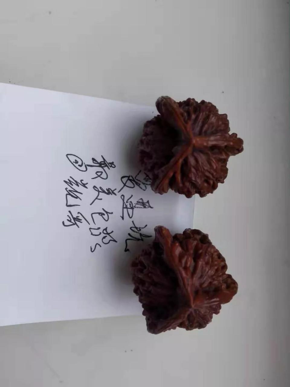 %title插图%num %title插图%num