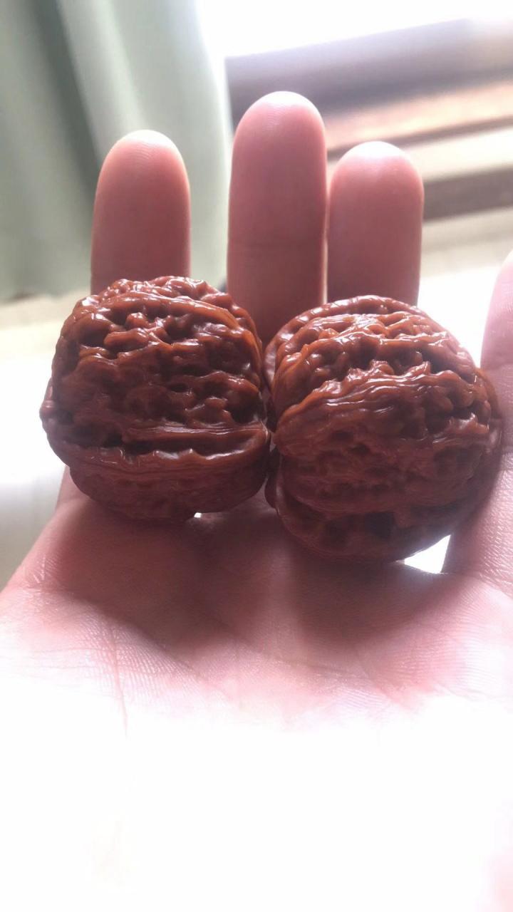 %title插图%num %title插图%num