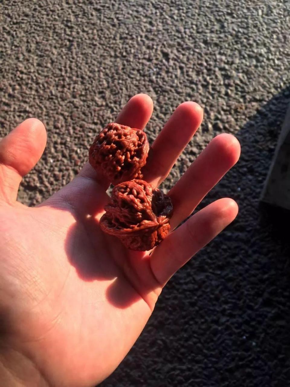 %title插图%num %title插图%num