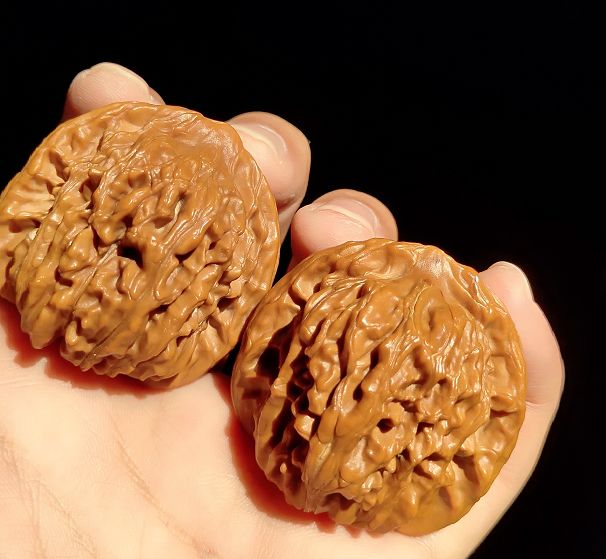 %title插图%num %title插图%num