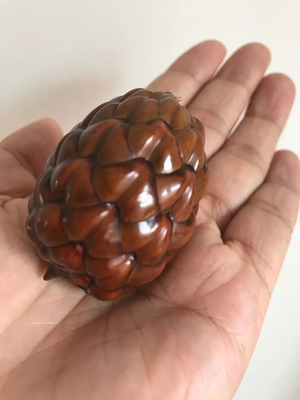 %title插图%num %title插图%num