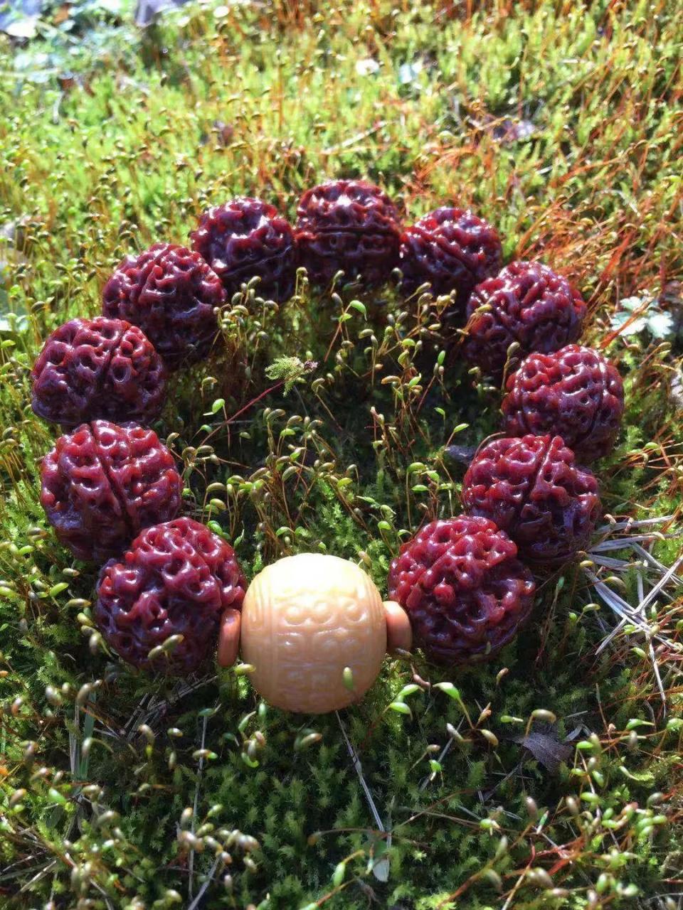 %title插图%num %title插图%num