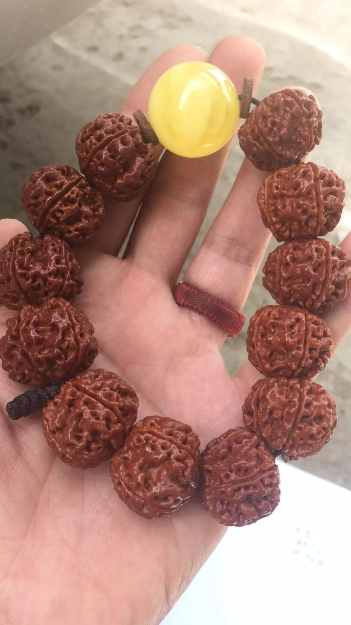 %title插图%num %title插图%num