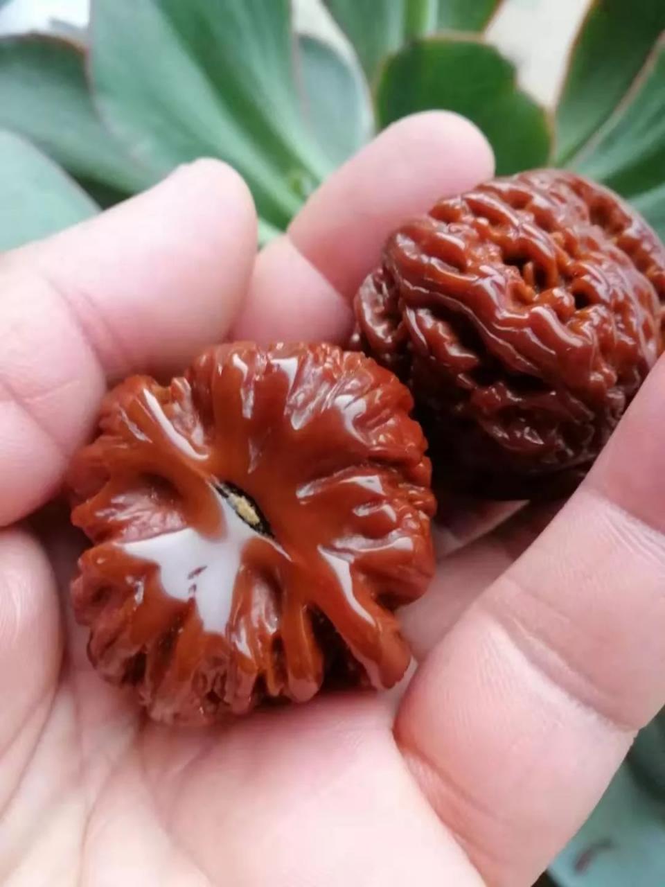 %title插图%num %title插图%num