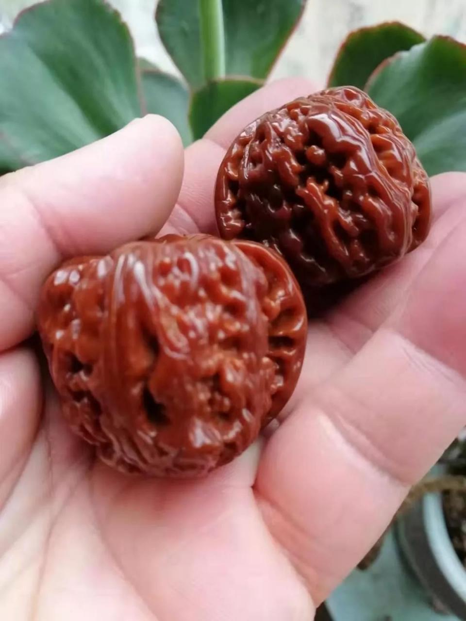 %title插图%num %title插图%num