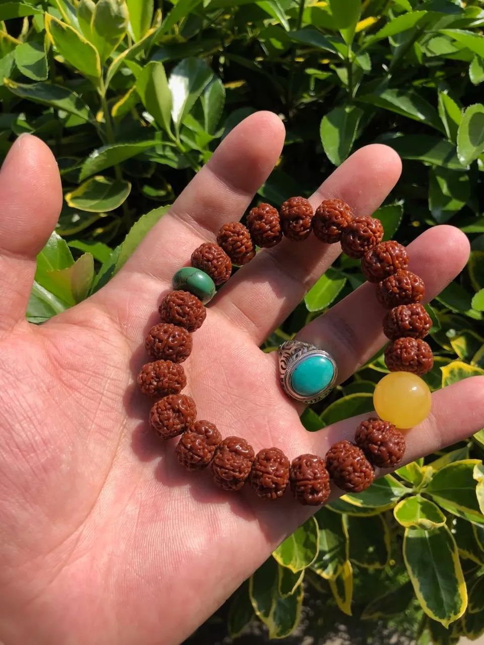 %title插图%num %title插图%num