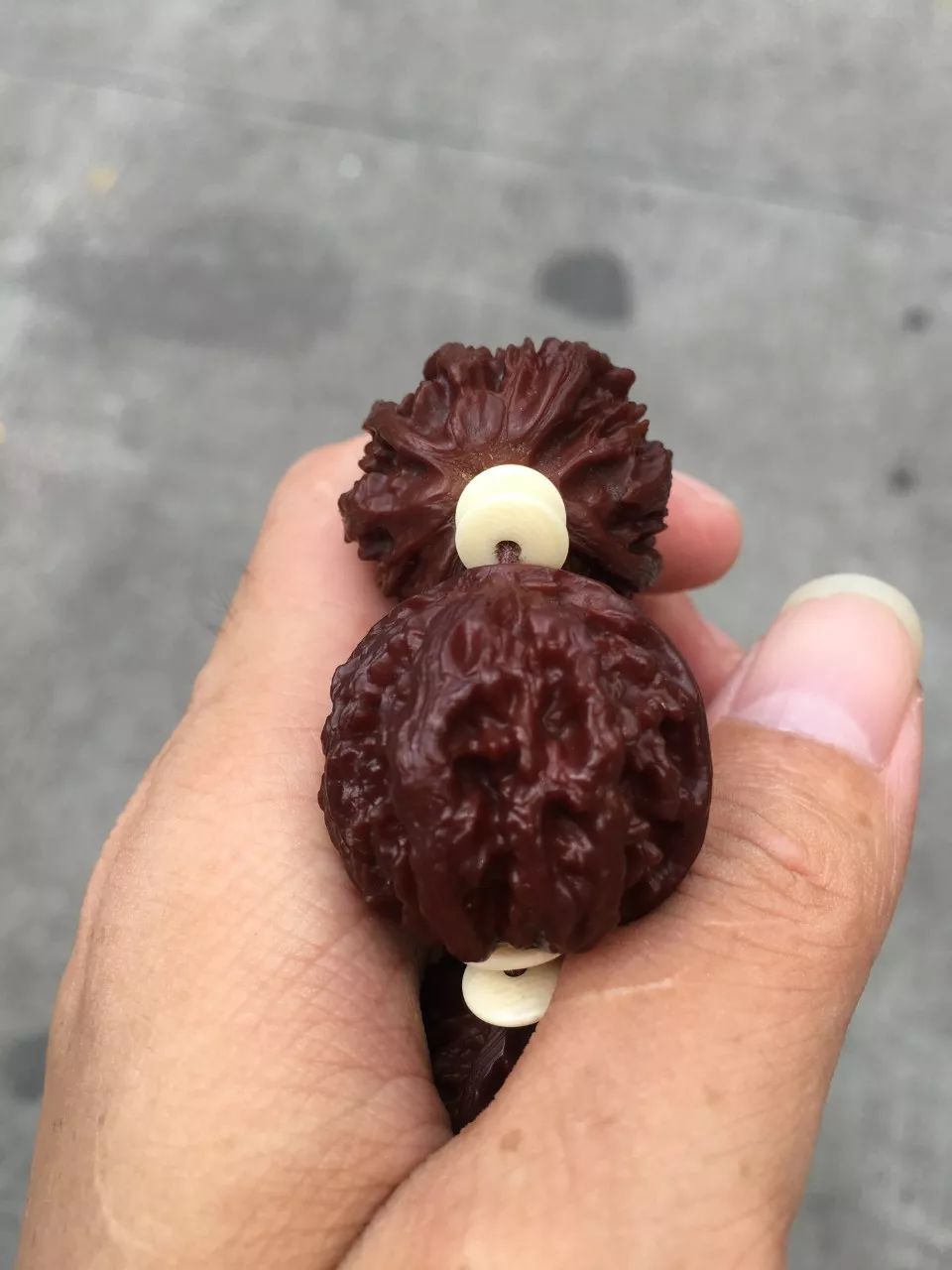 %title插图%num %title插图%num