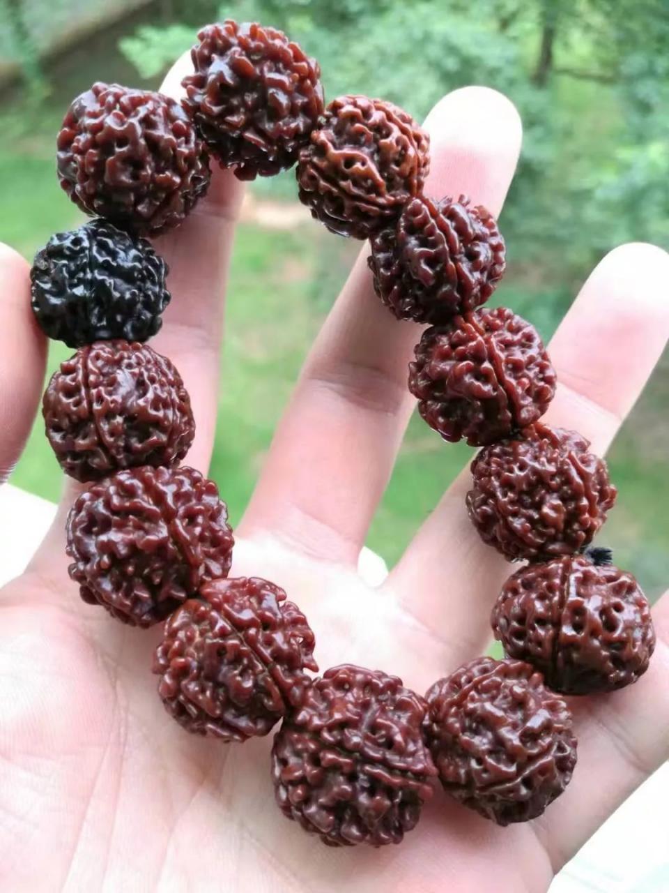 %title插图%num %title插图%num