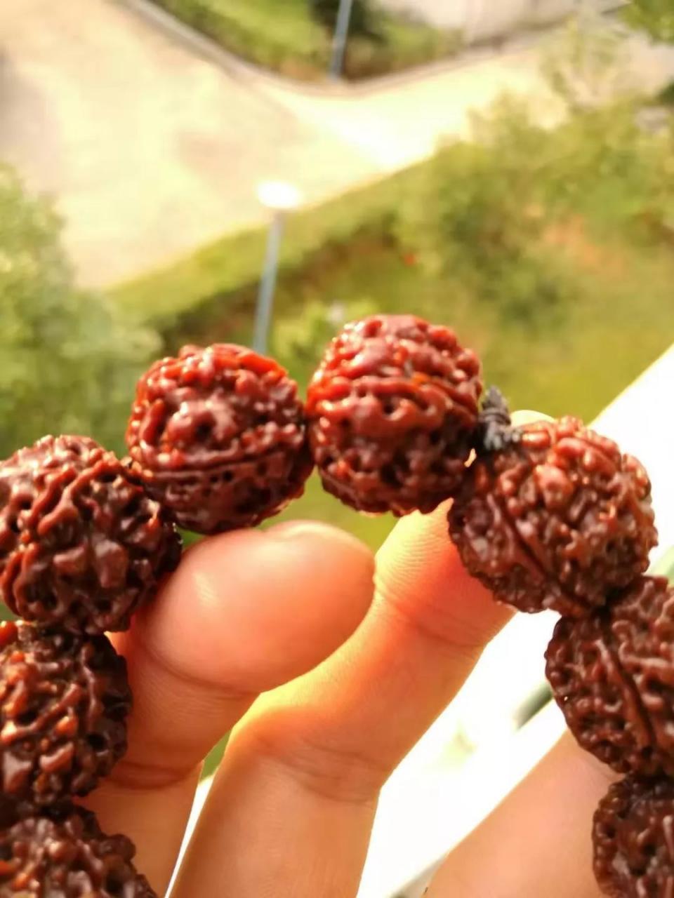 %title插图%num %title插图%num