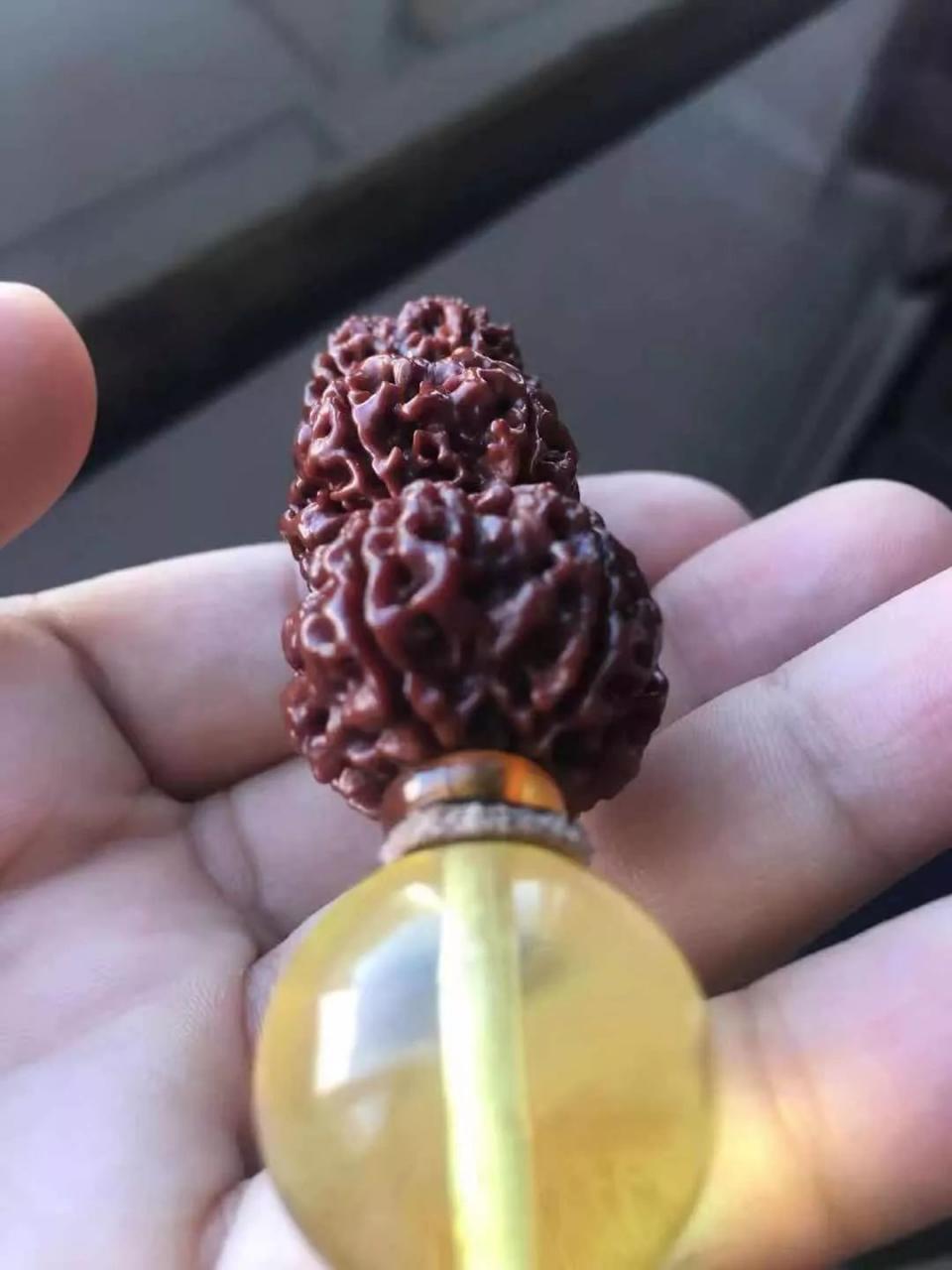 %title插图%num %title插图%num