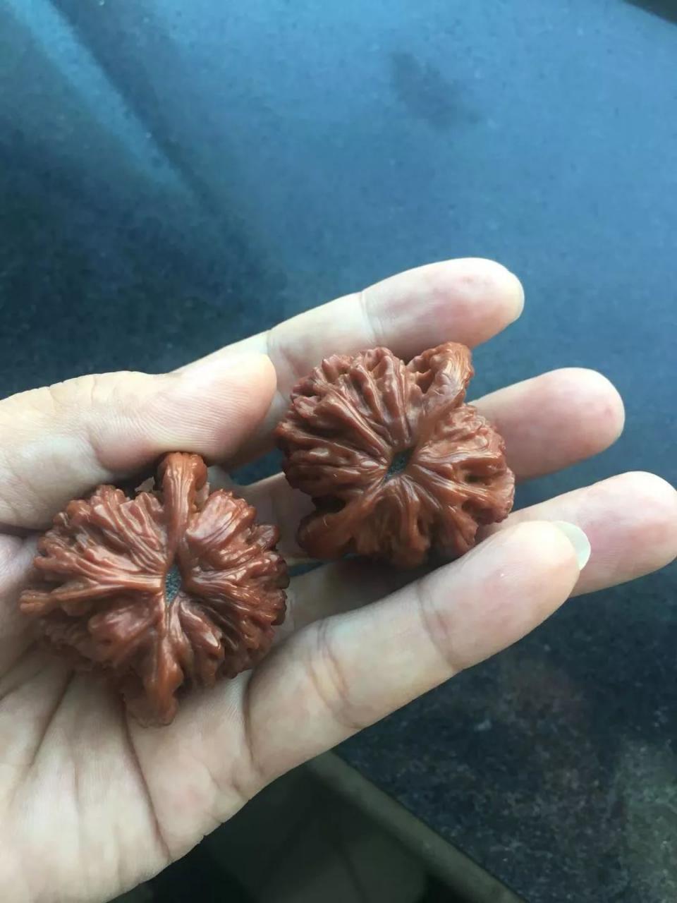 %title插图%num %title插图%num