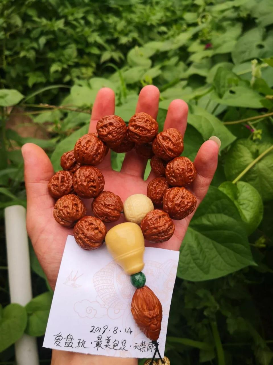 %title插图%num %title插图%num