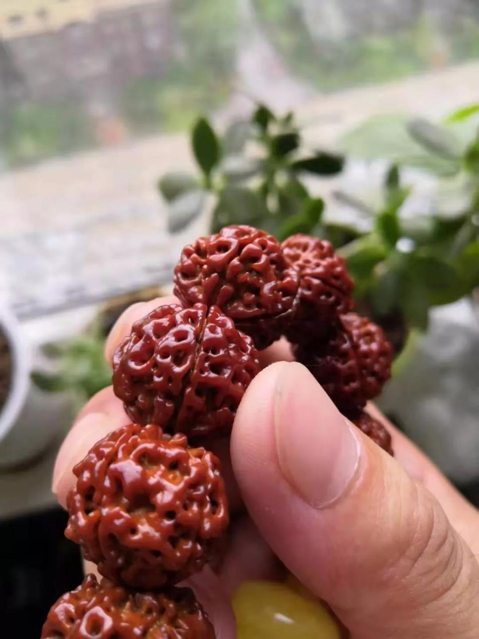 %title插图%num %title插图%num