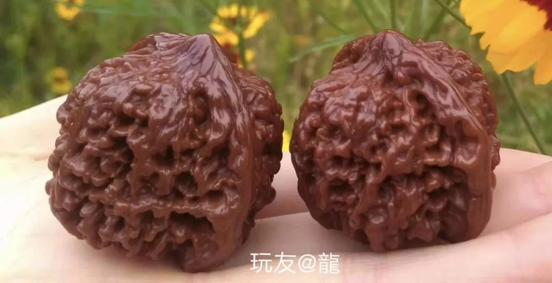 %title插图%num %title插图%num