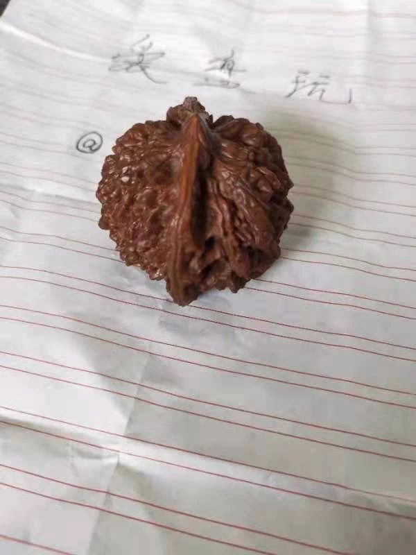 %title插图%num %title插图%num