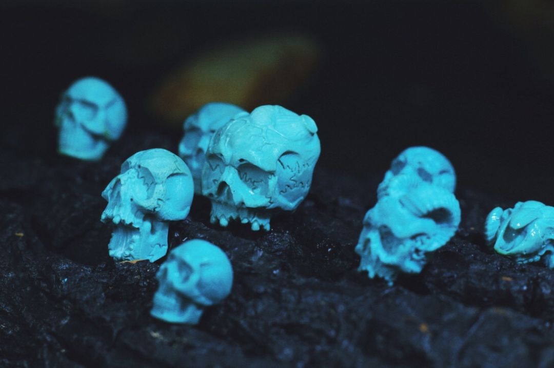 %title插图%num %title插图%num