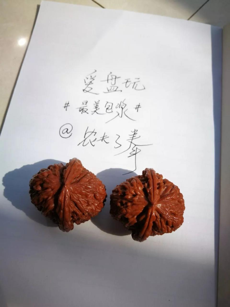 %title插图%num %title插图%num