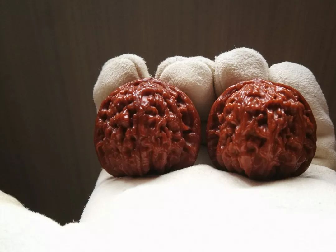 %title插图%num %title插图%num