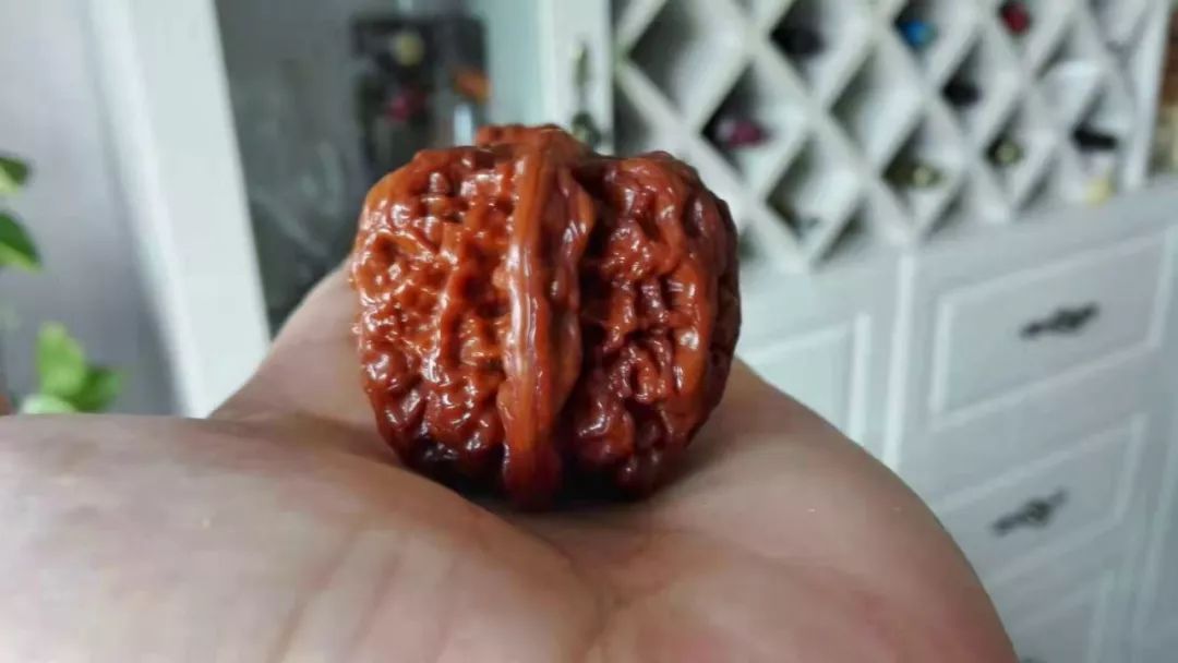 %title插图%num %title插图%num