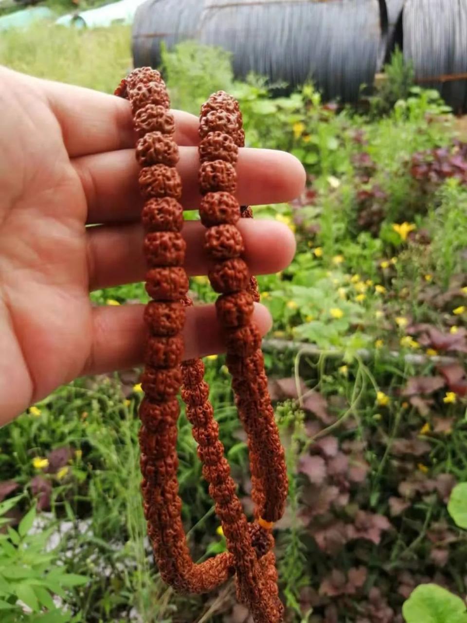 %title插图%num %title插图%num